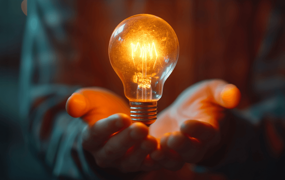 lightbulb lightbulb